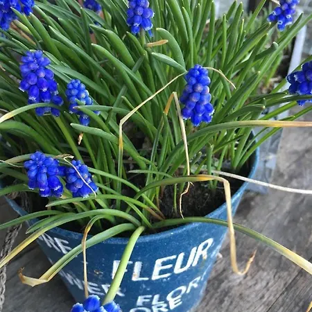 Pause...quelque Part Prázdninový dům *