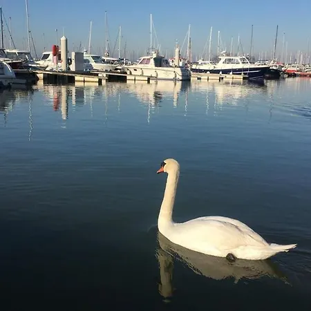 Pause...quelque Part * Nieuwpoort