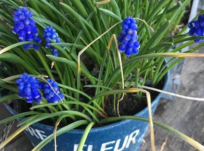 Pause...quelque Part Holiday home *